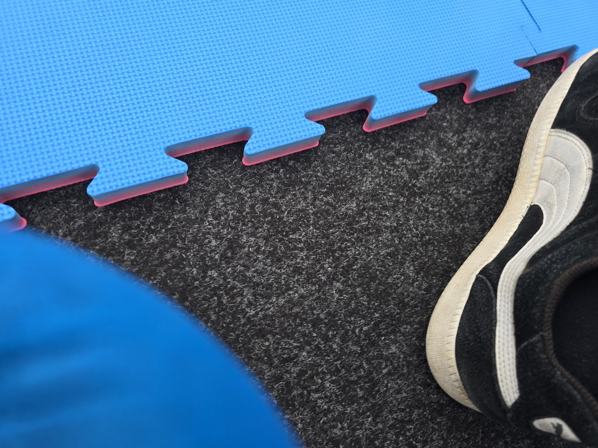 Gold, Silber und Bronze – Fünf Medaillen bei der Karate-Staatsmeisterschaft 2026 39