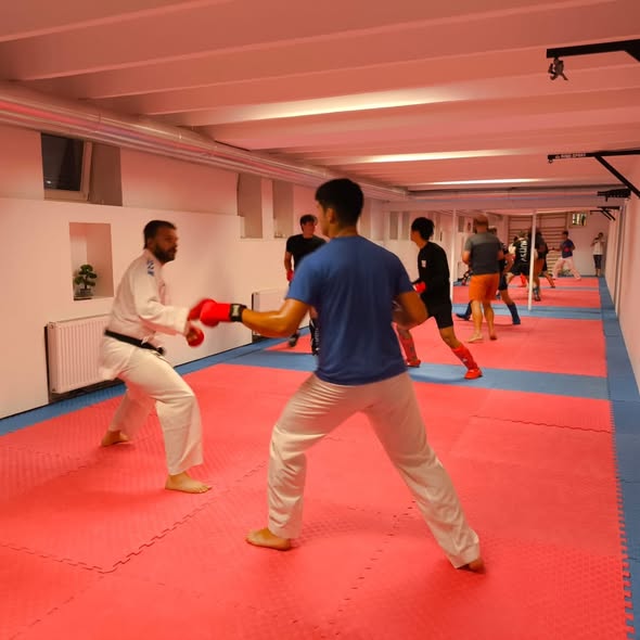 Joint Kumite Special Training at Rebels Karateclub 4