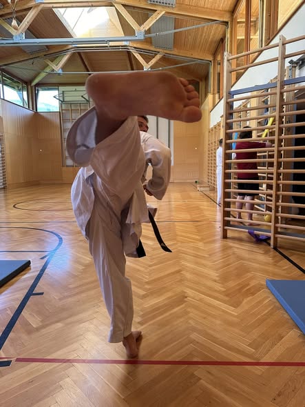 Rebels Goes USI! New Karate Course for Students in Vienna 1