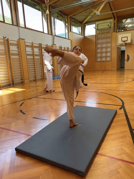 Rebels Goes USI! New Karate Course for Students in Vienna 2