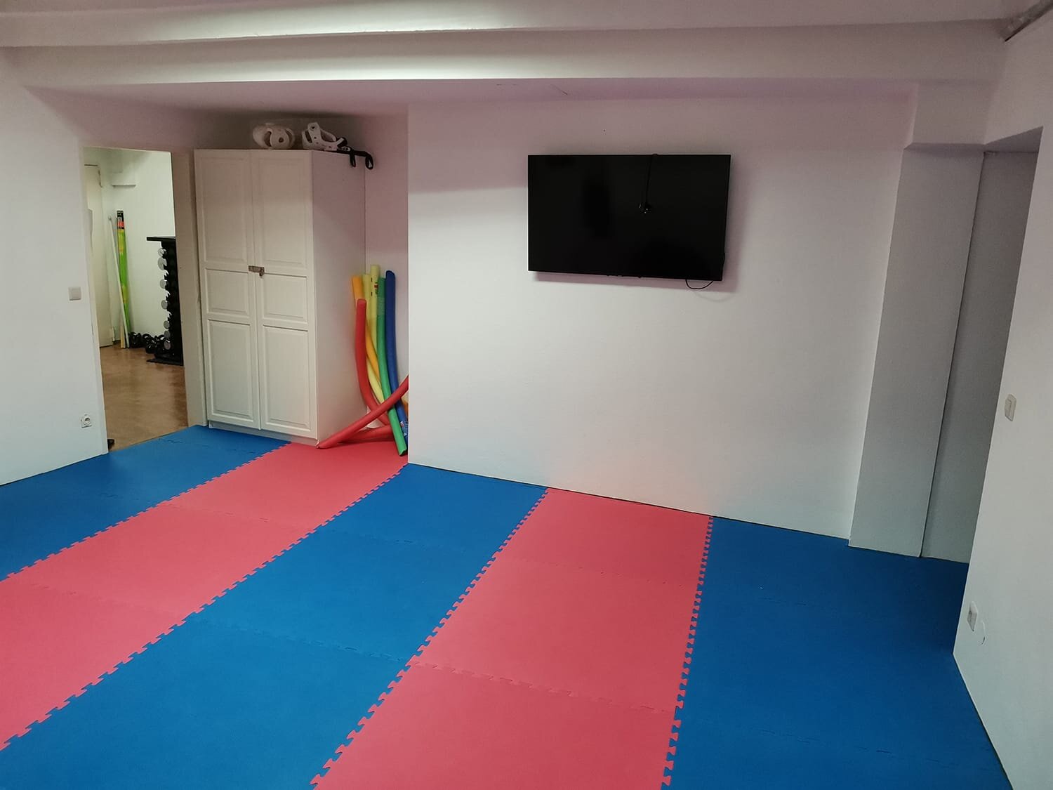 Rebels Karate Dojo 1